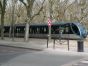  tramway sous les arbres